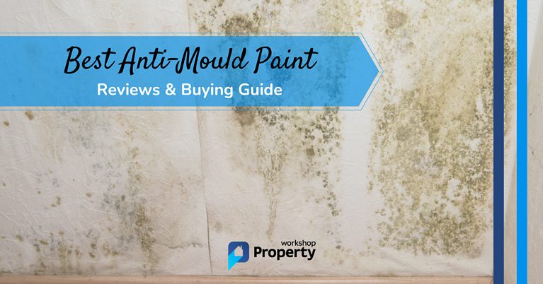 best anti mould paint