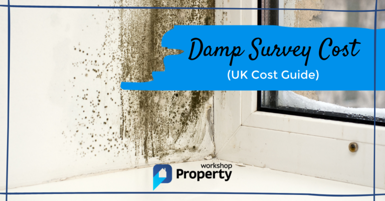 damp survey cost